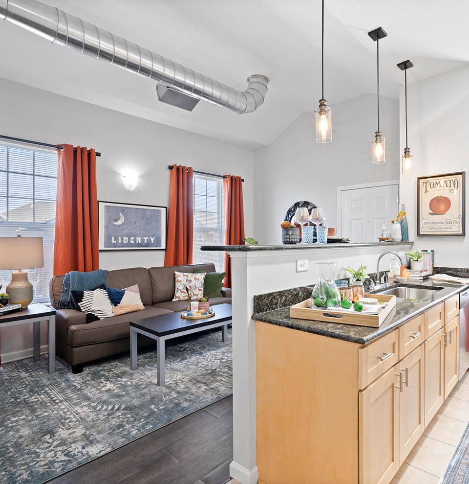 Apartments Near Clemson University Clemson Lofts